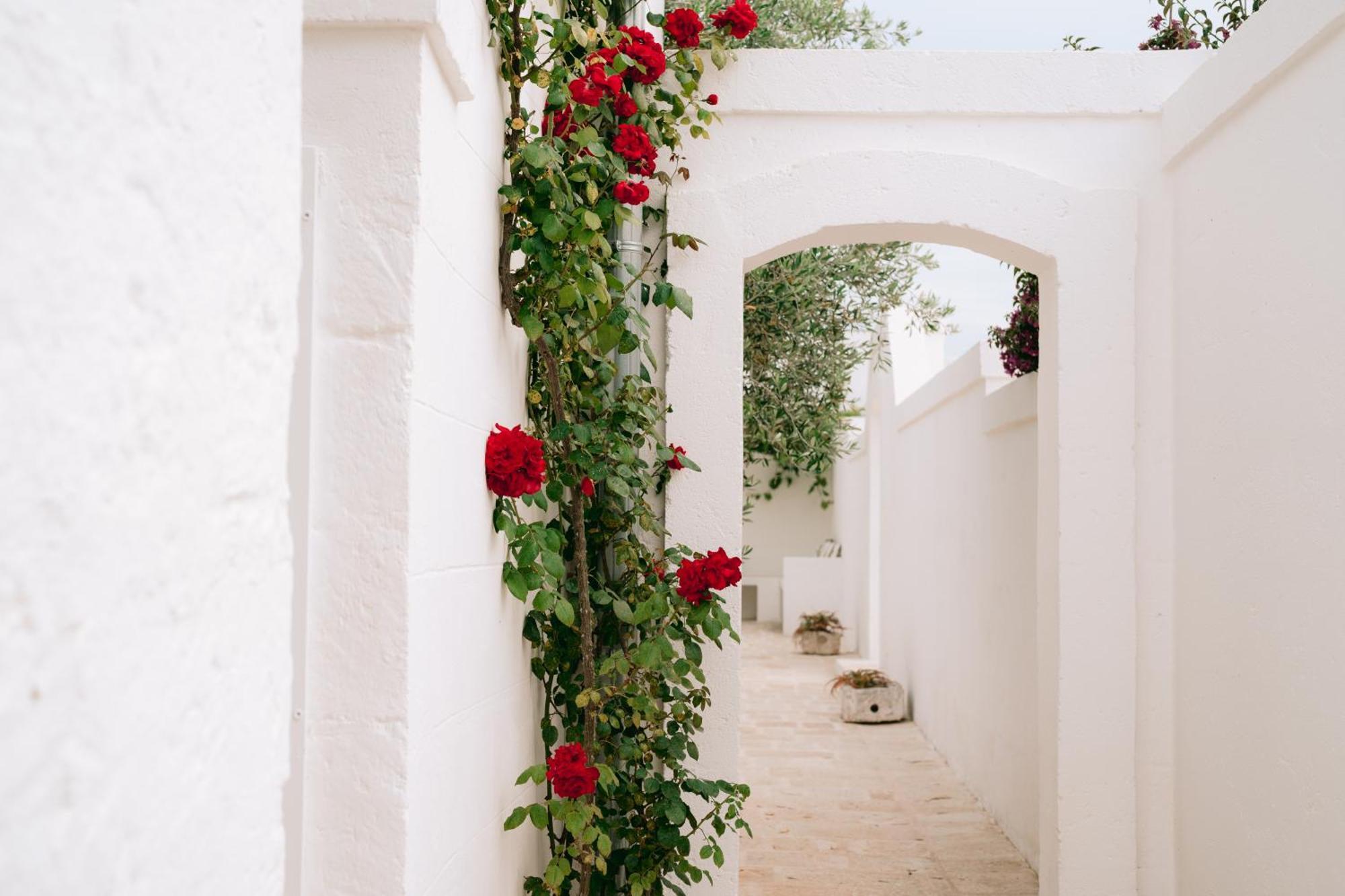 Bed and Breakfast Oltre Gli Ulivi à Ostuni Extérieur photo