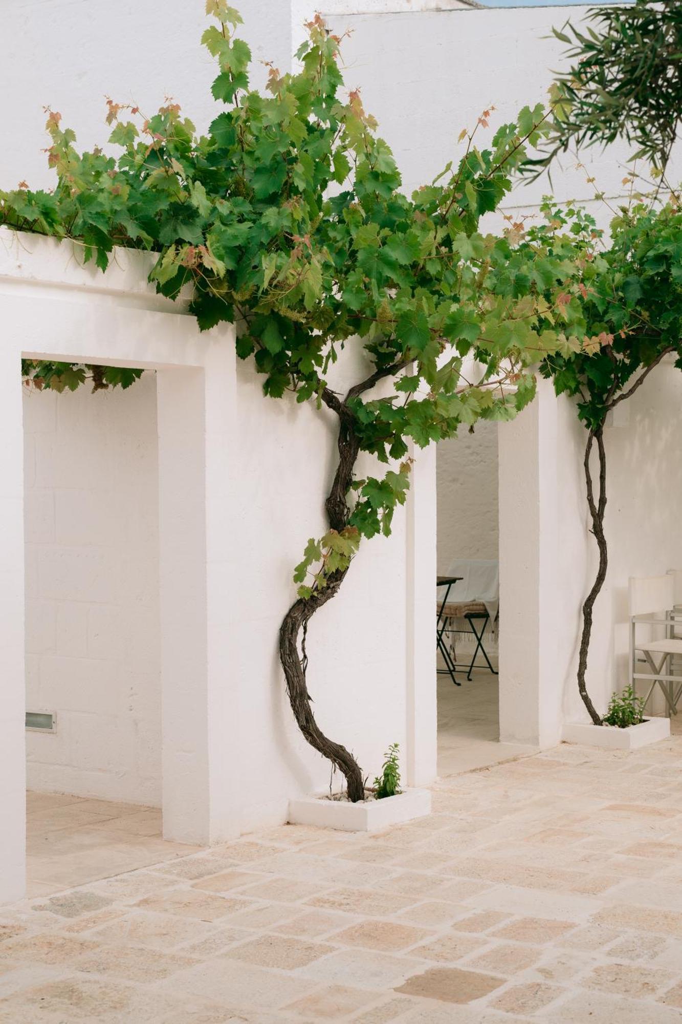 Bed and Breakfast Oltre Gli Ulivi à Ostuni Extérieur photo